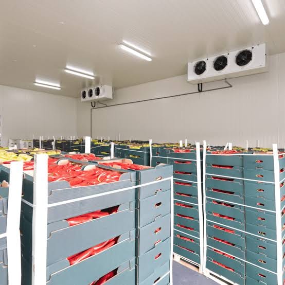 Cold room with stored produce