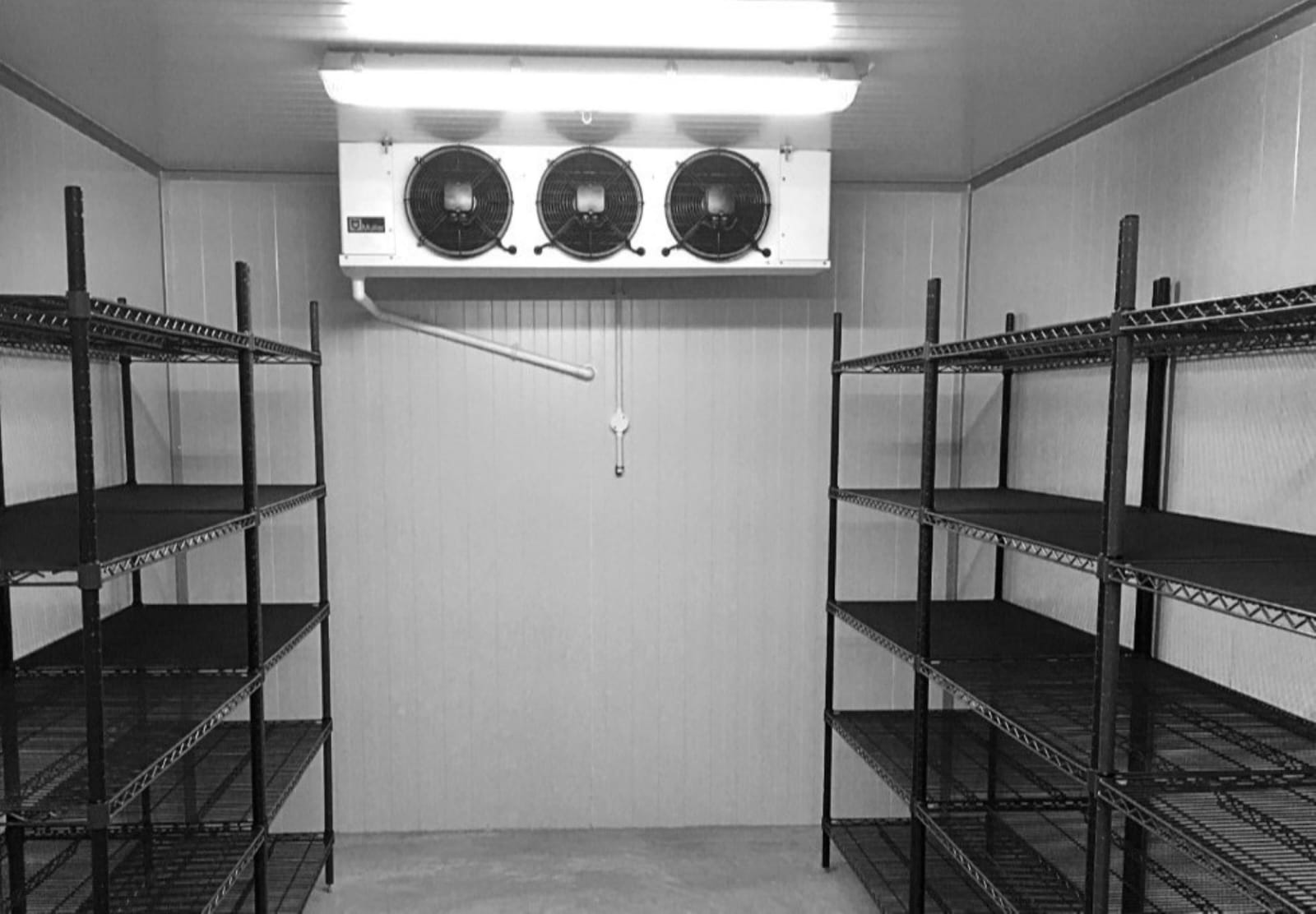 Cold room interior with shelving and evaporator